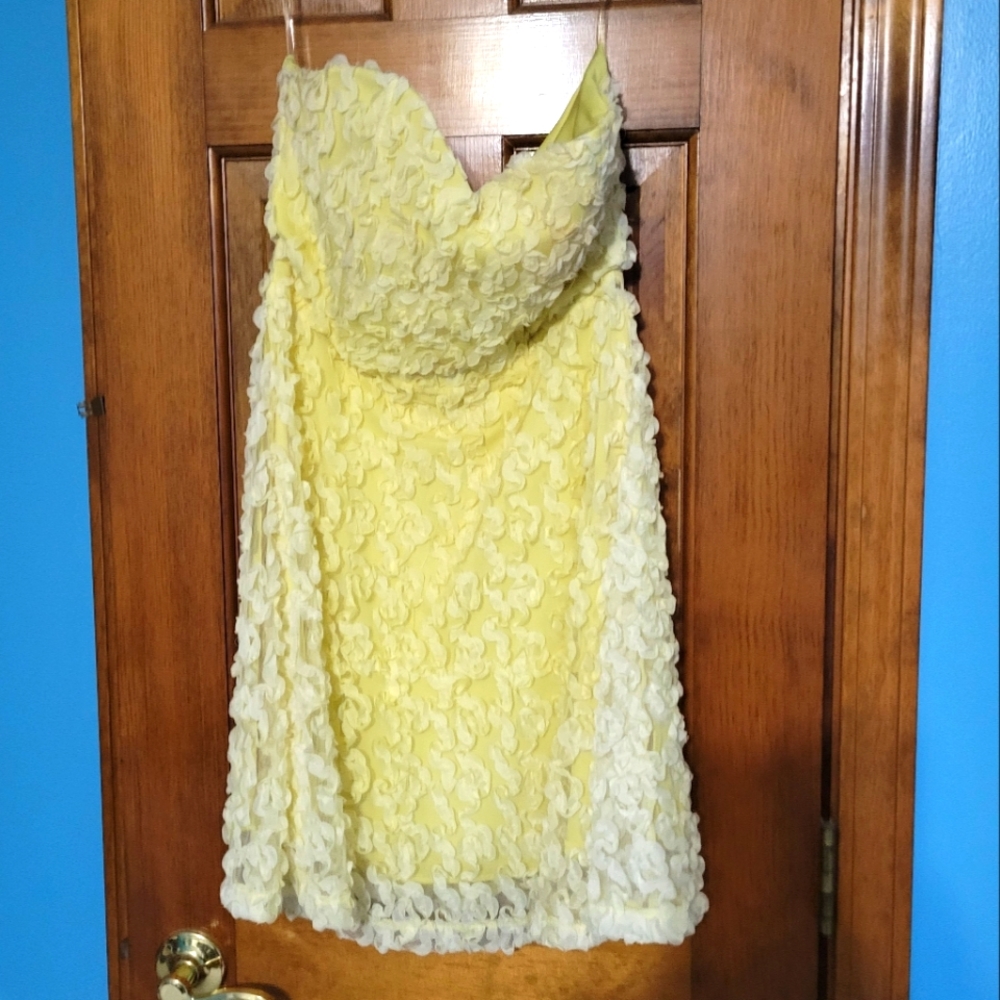 Womens dress